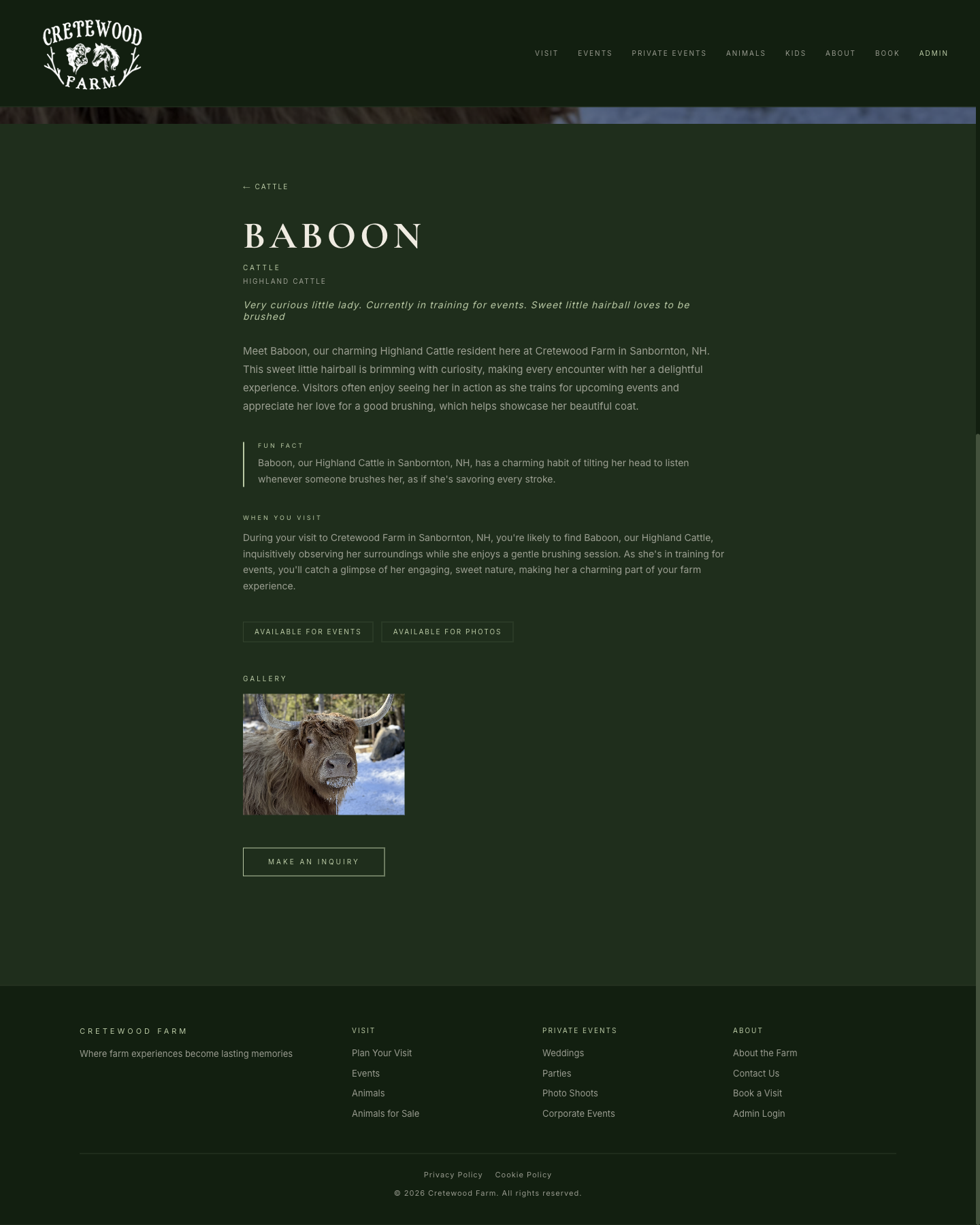 Cretewood animal sale detail page for Baboon