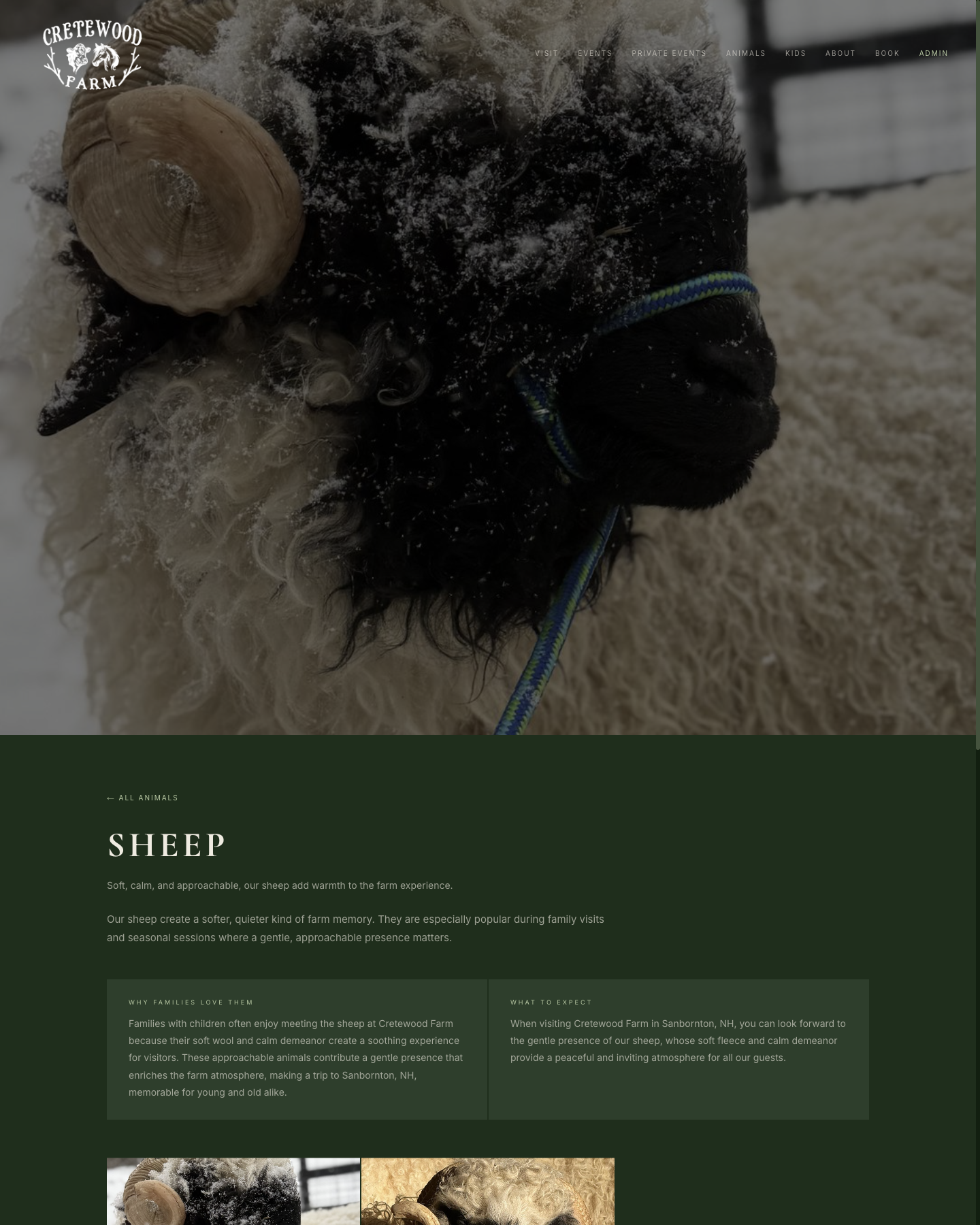 Cretewood sheep type page