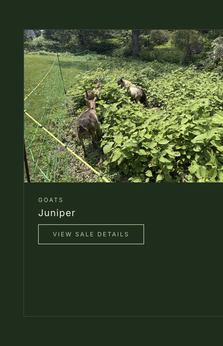 Cretewood animals for sale listing without people visible